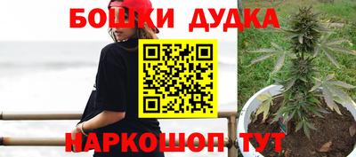 индика Чапаевск
